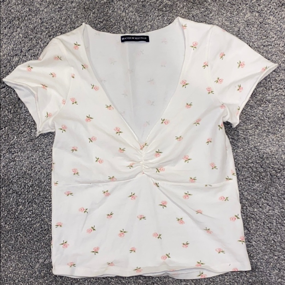 Brandy Melville Floral Crop Top